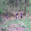 Waldtage14